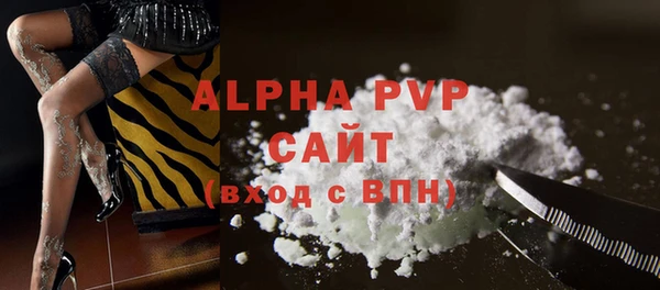 СК Белокуриха