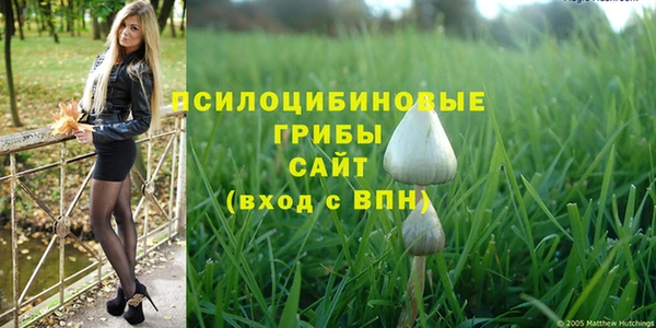 СК Белокуриха