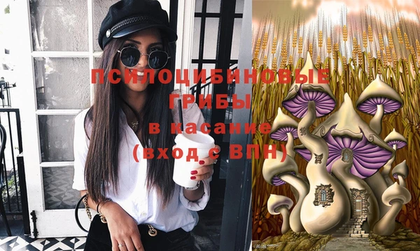 стафф Белоозёрский