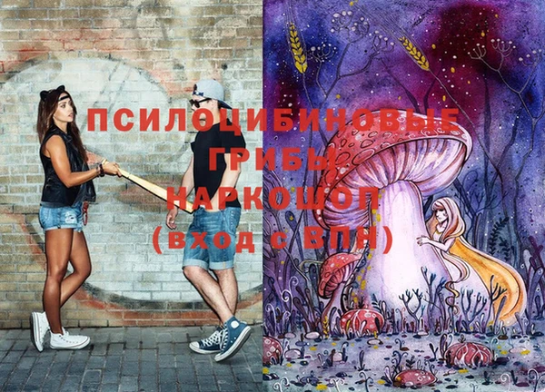 СК Белокуриха