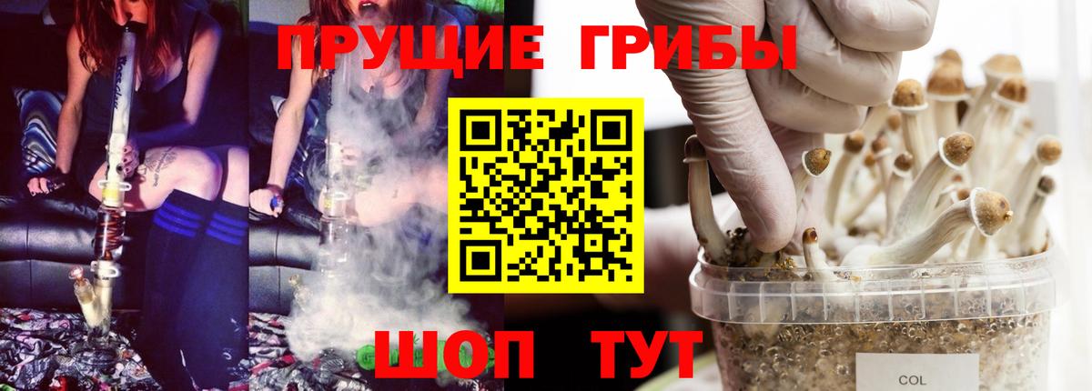 Псилоцибиновые грибы ЛСД  Галлюциногенные грибы Psilocybine cubensis  Свободный  Вход с VPN 